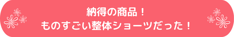 納得の商品！ものすごい整体ショーツだった！